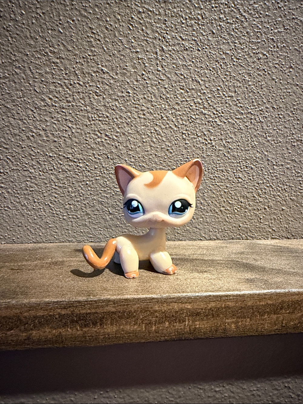 LPS #1024 LITTLEST PETSHOP ORIGINAL AUTHENTIC CHAT EUROPEEN EUROPEAN CAT HASBRO